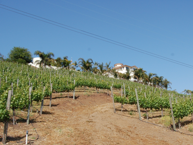 Colcanyon Estate Wines Colcanyon Estate Wines in Malibu