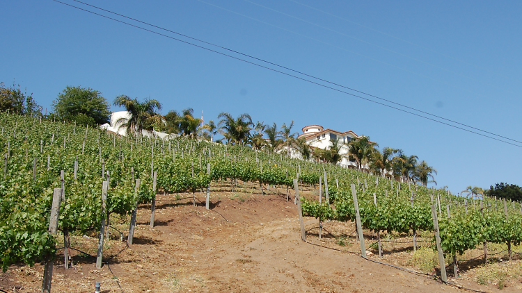 Colcanyon Estate Wines in Malibu