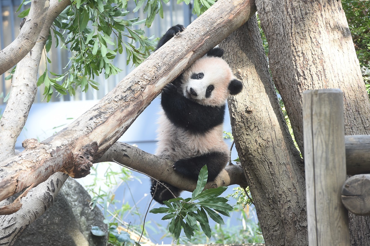 Best zoos and aquariums in Tokyo | Time Out Tokyo