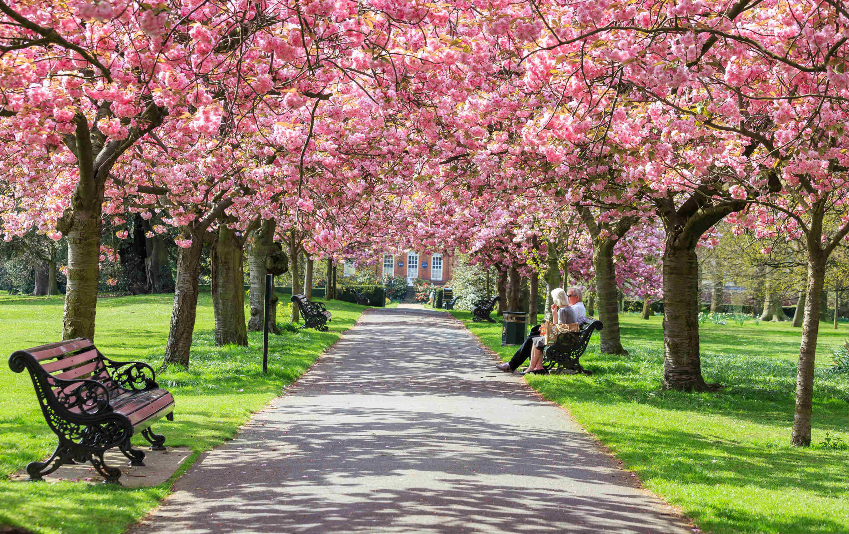 9-places-to-see-cherry-blossom-in-london-cherry-blossom-season-2021