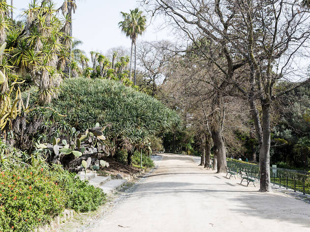 Jardim botanico de lisboa Jardim botanico de lisboa