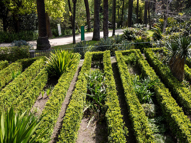 Jardim botanico de lisboa Jardim botanico de lisboa