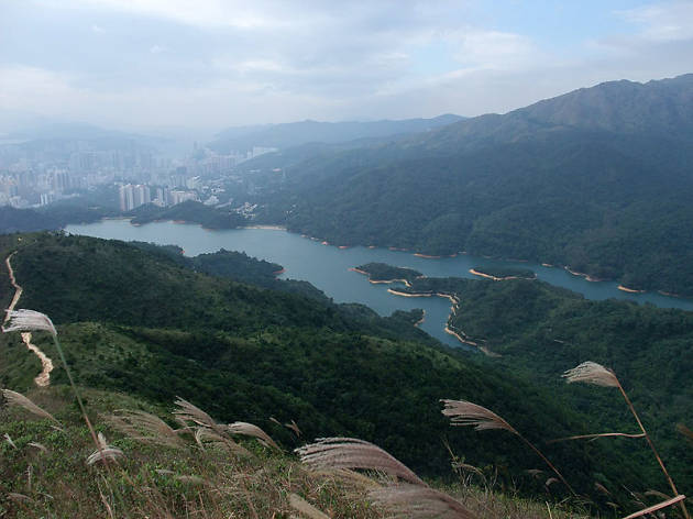 Tsuen Wan Ultimate Guide