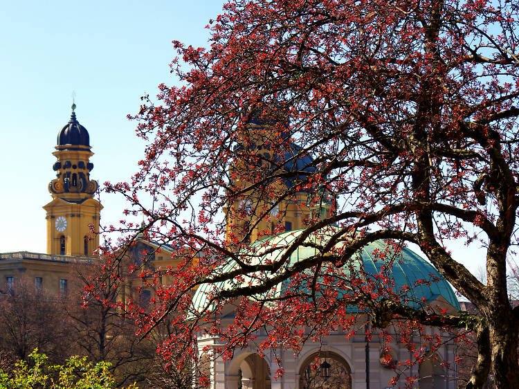 The 9 best attractions in Munich