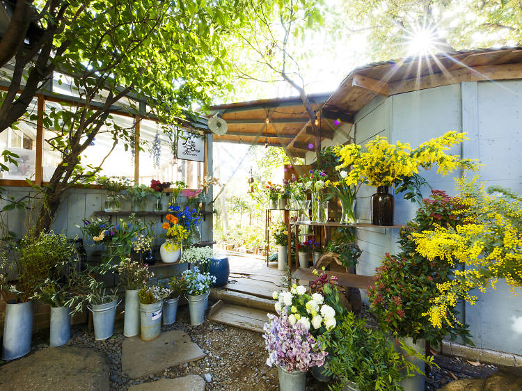 ひっそり営業の花屋に行く。