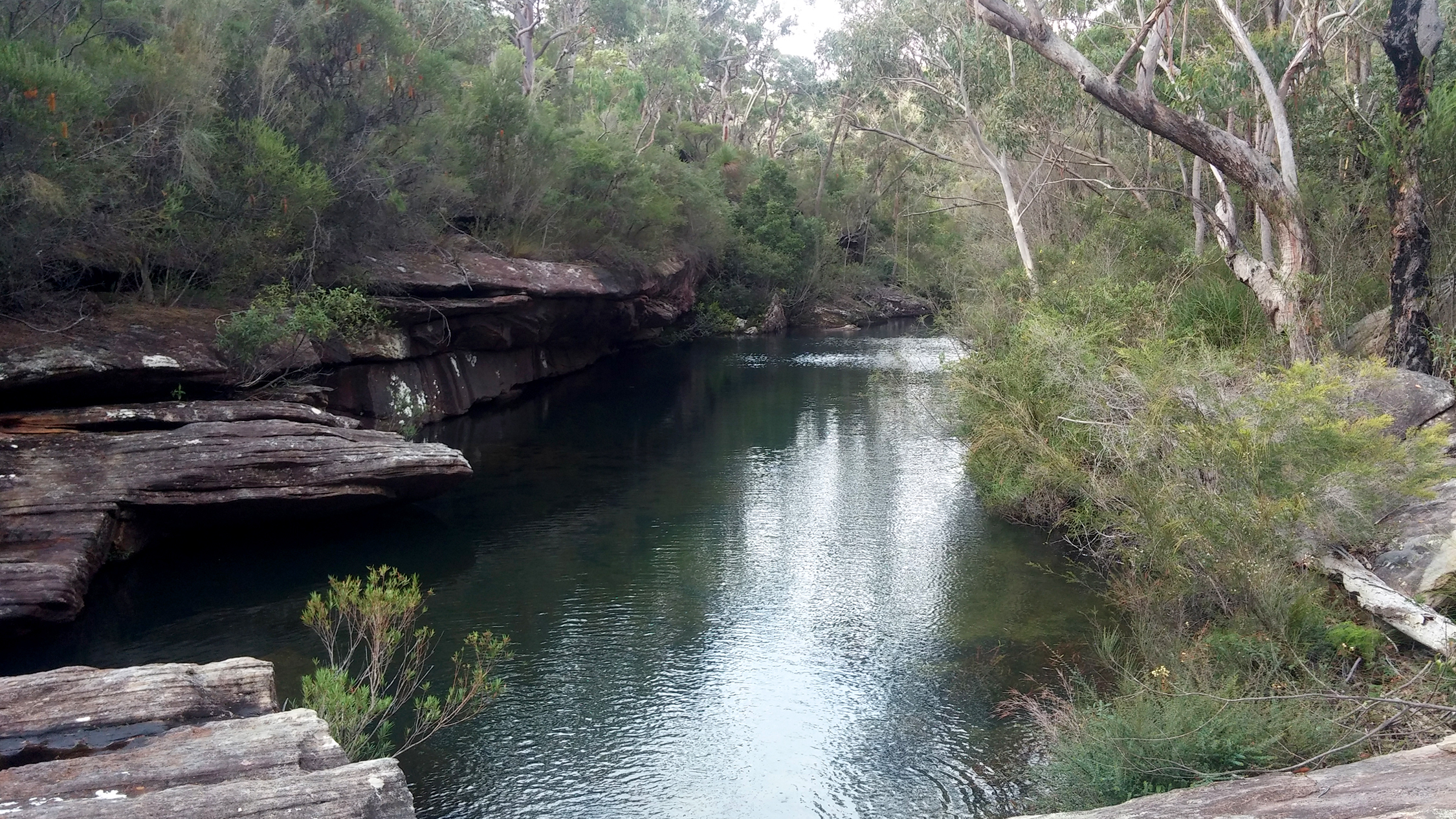 Sydney S Royal National Park What To Do How To Get There