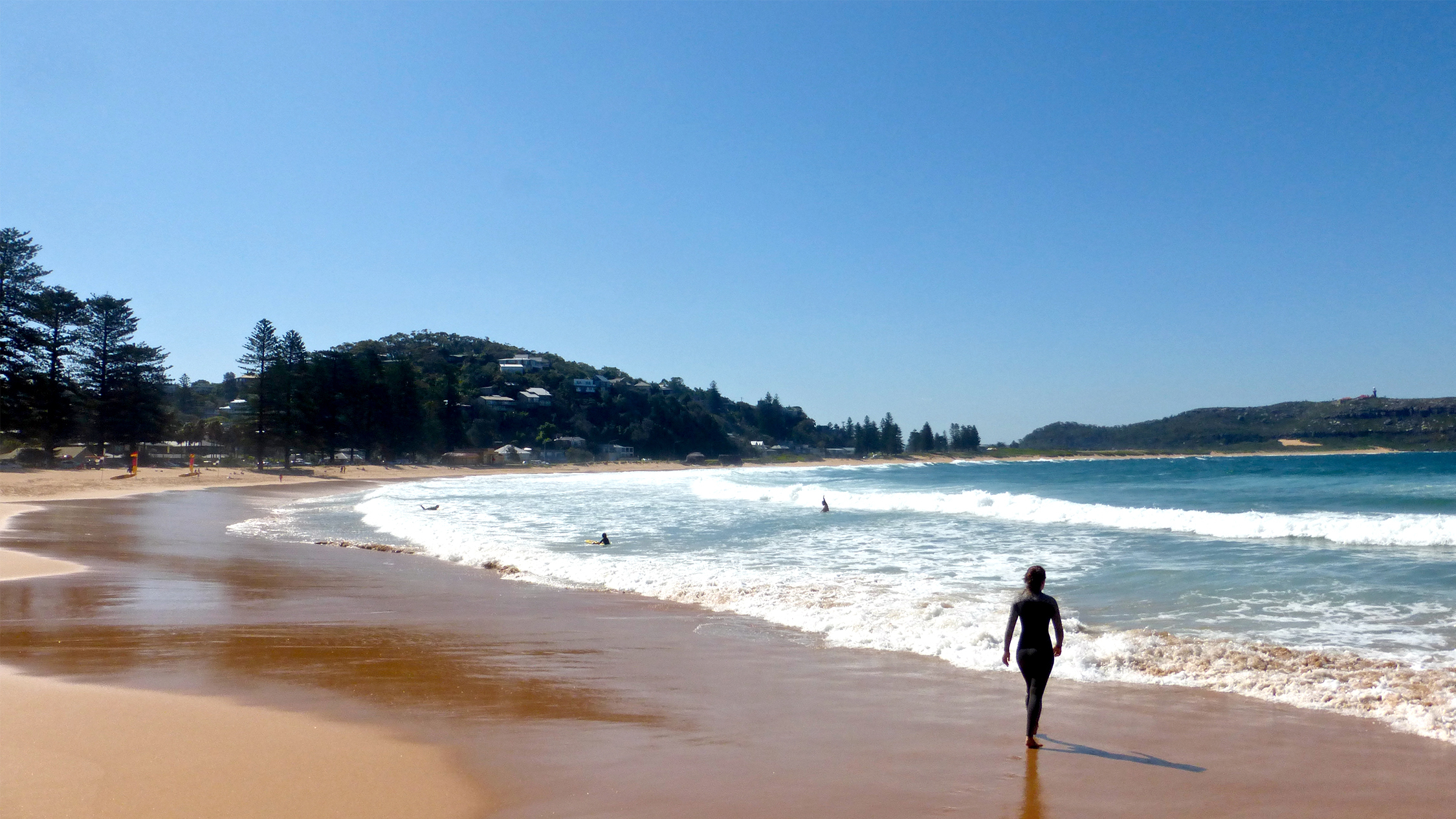 The 50 best things to do in Sydney right now The 50 best things to do in Sydney right now