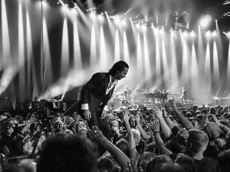 Nick Cave