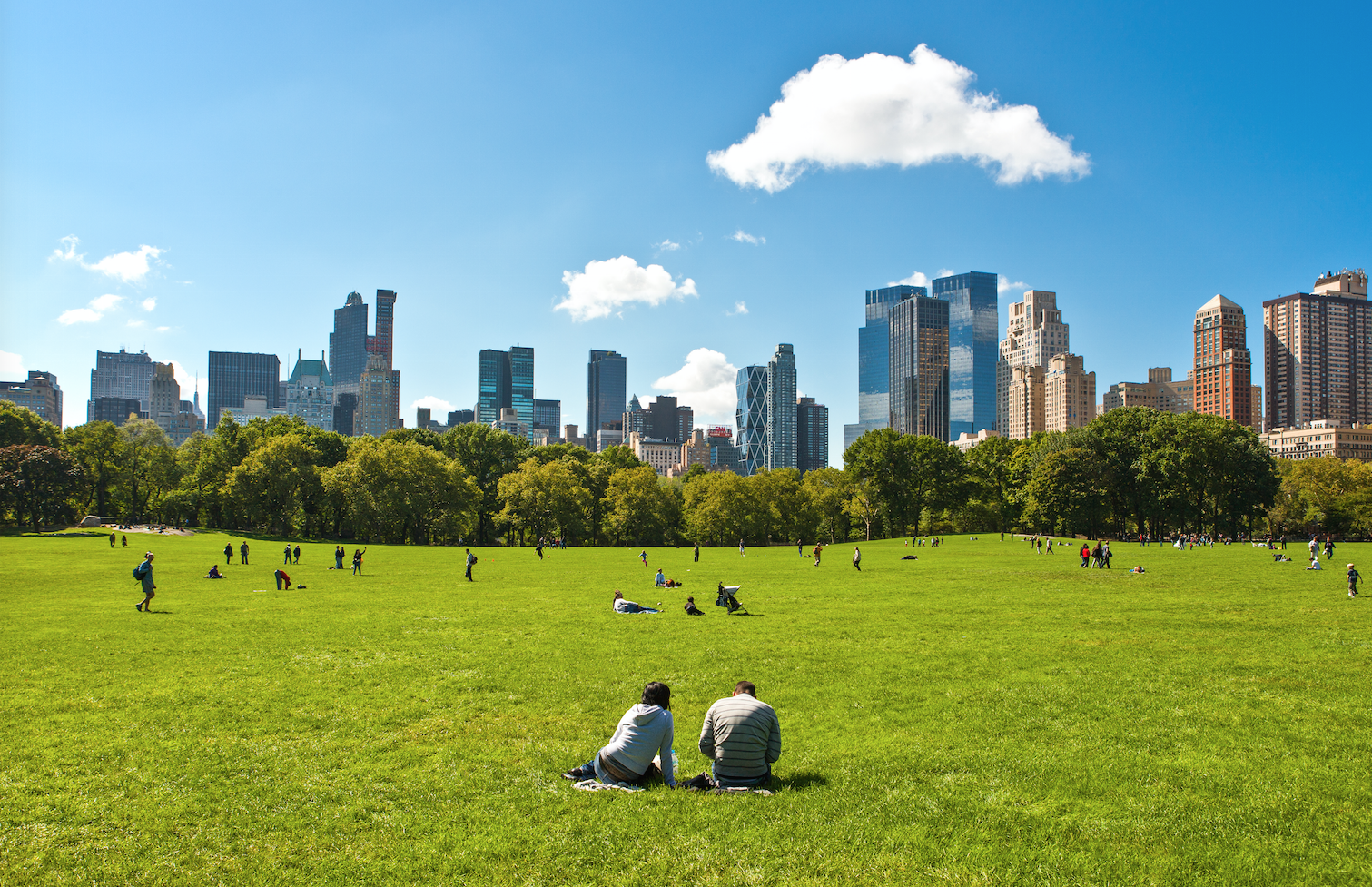 Earth Day in NYC Guide to Outdoor Events and Volunteering