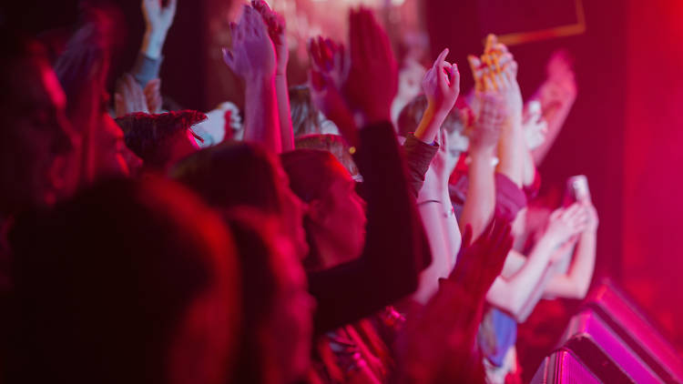 Rock out at a live gig