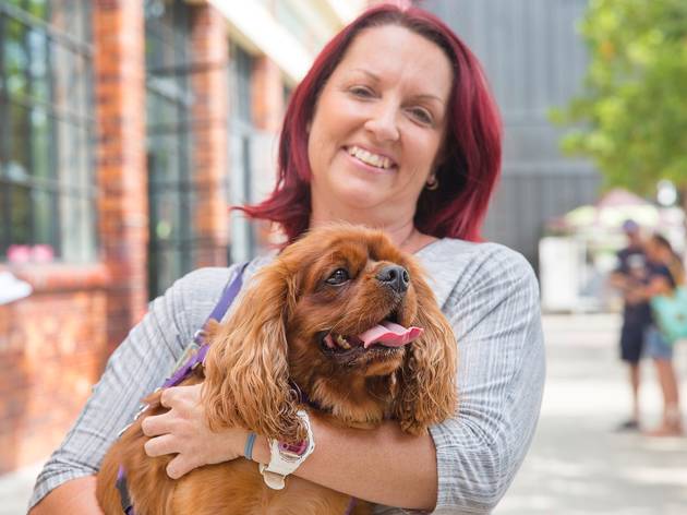 Dog Lovers Show Dog Lovers Show