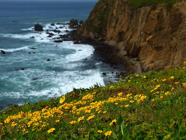 Get outdoors with the best hikes in the Bay Area Get outdoors with the best hikes in the Bay Area