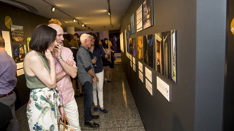 People view photographs in an exhibition