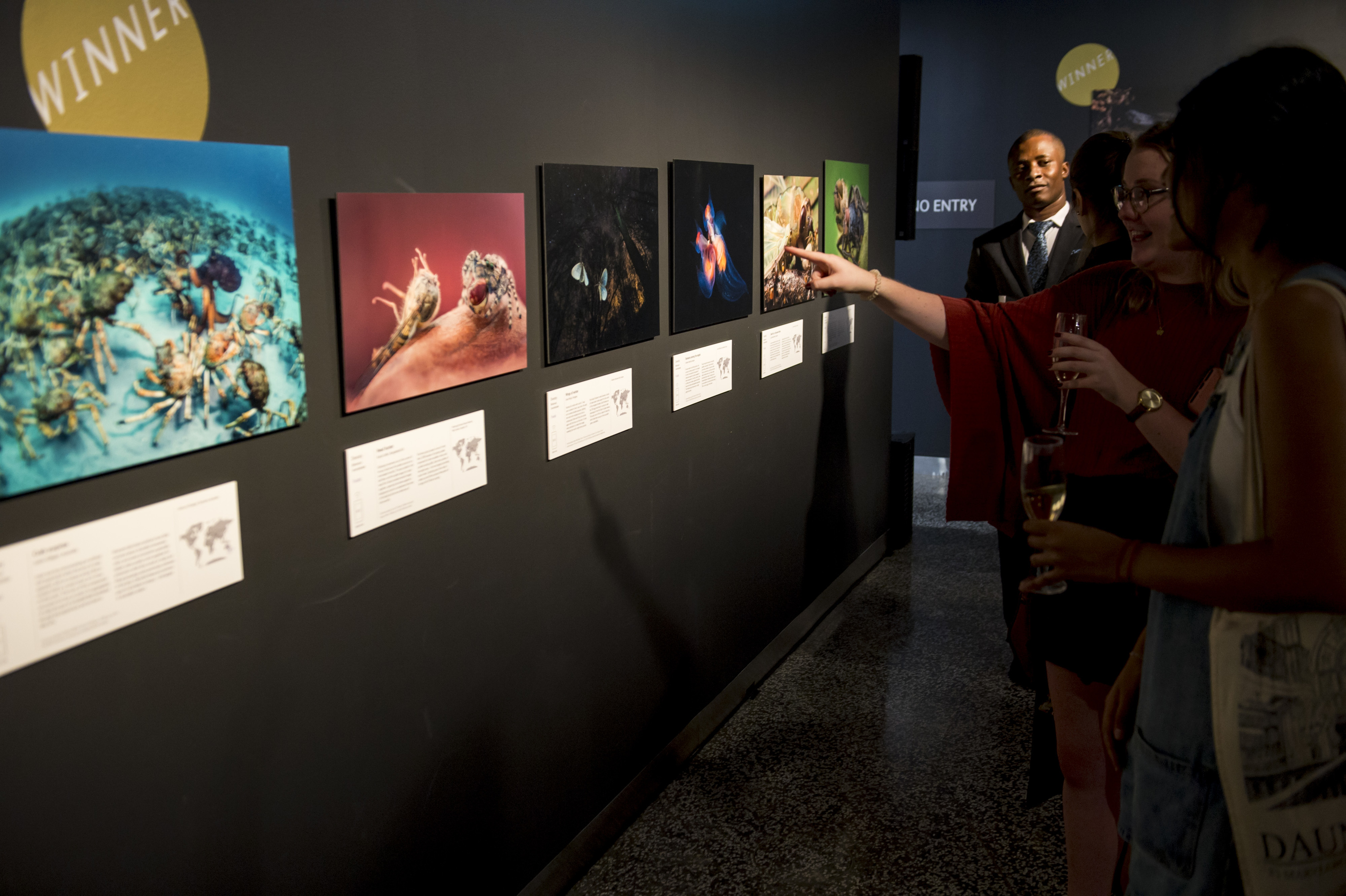 Time Out readers got an exclusive preview of the latest Wildlife Photographer of the Year exhibition Time Out readers got an exclusive preview of the latest Wildlife Photographer of the Year exhibition