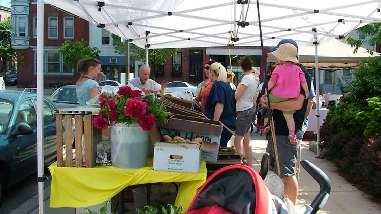 The Fairmount Farmers Market is open on Thursdays throughout summer.