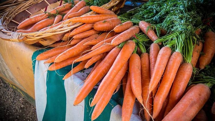 52nd & Haverford Farmers’ Market