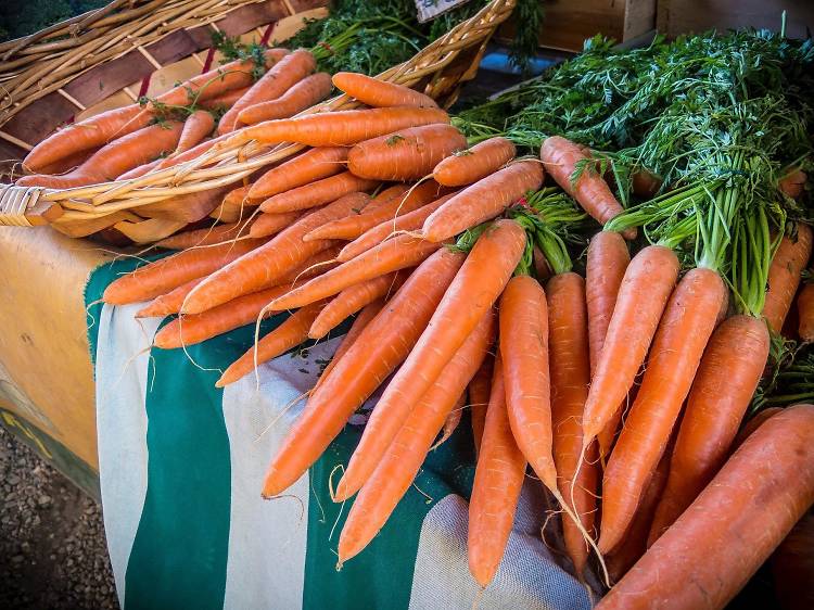 52nd & Haverford Farmers’ Market