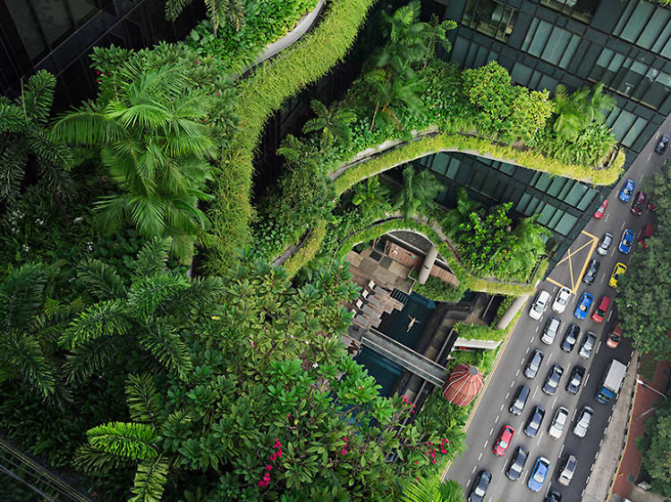 Lucas Foglia, Esme Swimming, Parkroyal on Pickering, Singapore