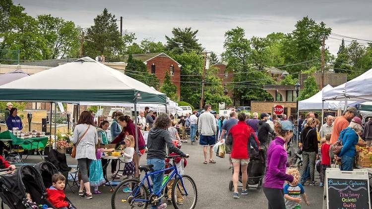 The Swarthmore Farmers Market is open on Saturdays throughout summer. 