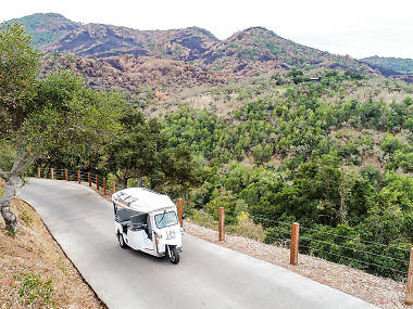 The 10 best Napa Valley wine tours to sip and see Wine Country The 10 best Napa Valley wine tours to sip and see Wine Country