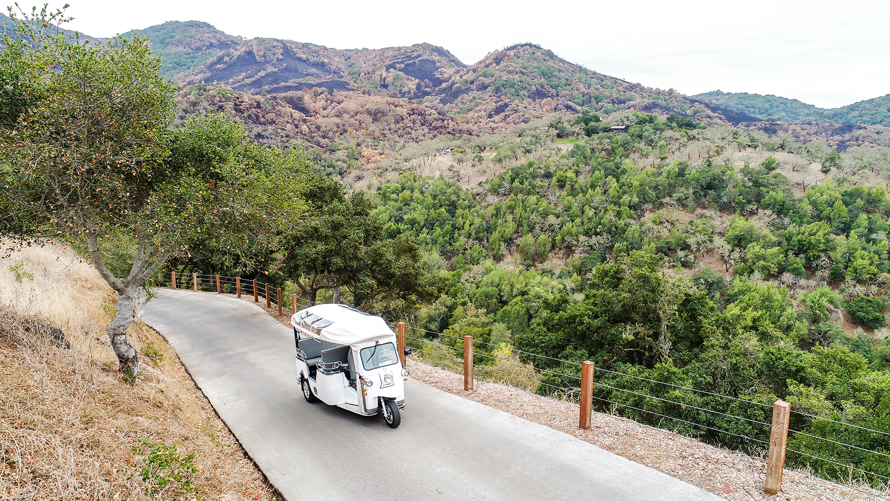 Napa Valley Wine Tours Taste Wine On A Train Segway Or Hot Air Balloon   Image 