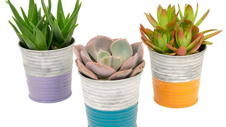 For the green thumb mom