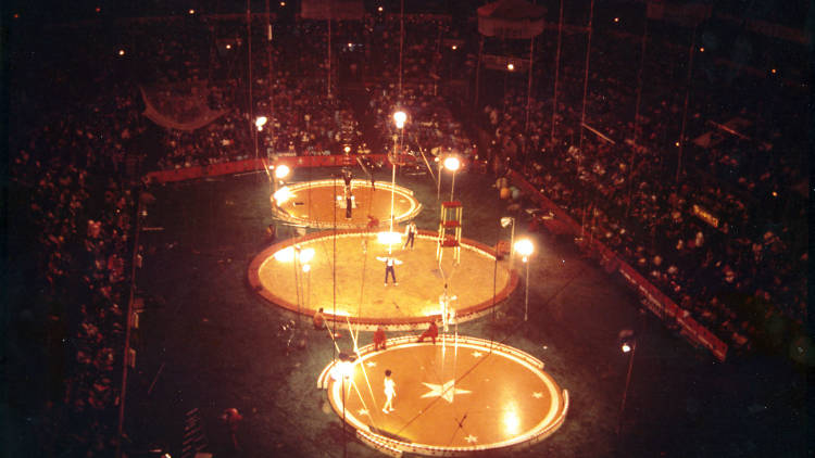 El circo en la Arena México