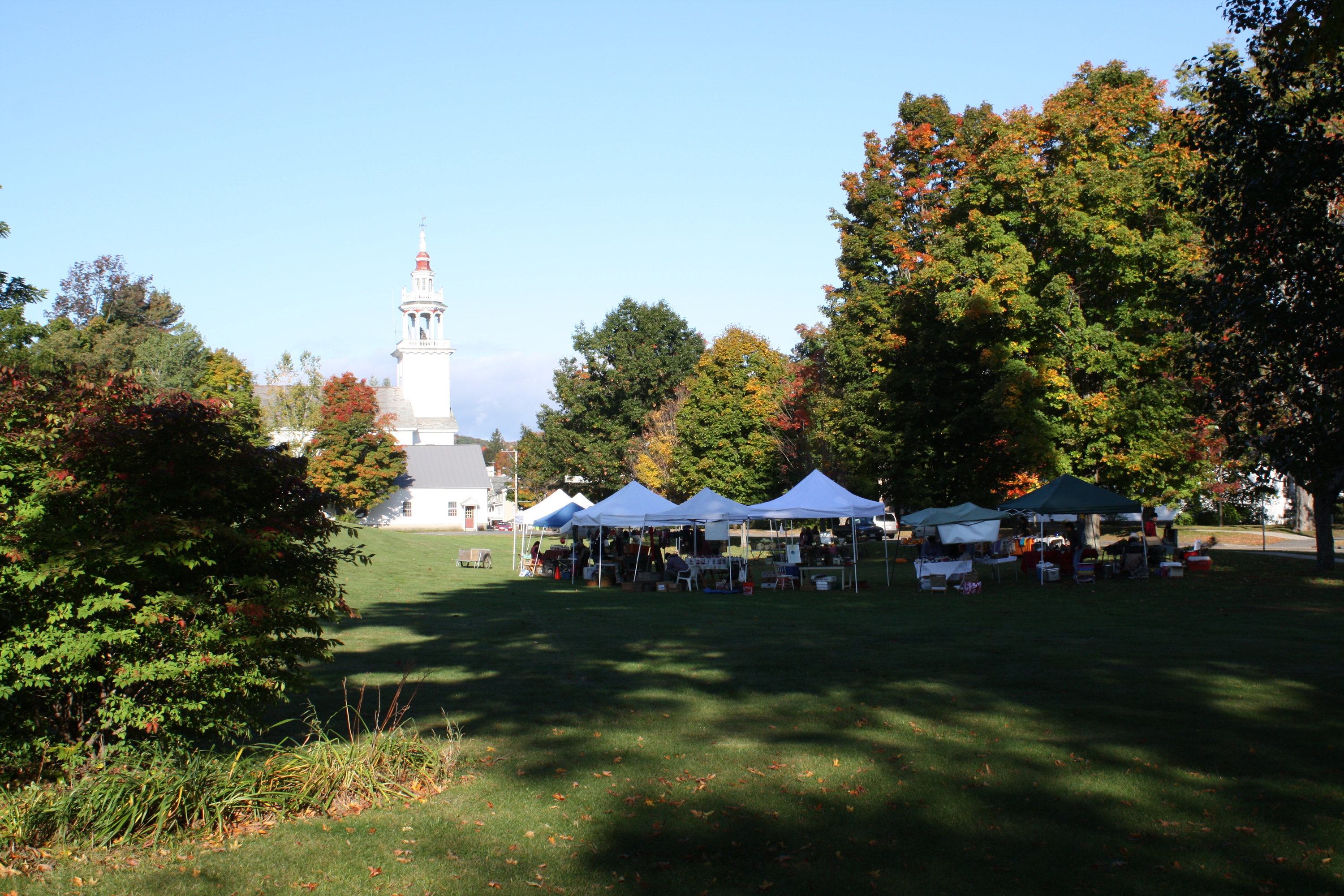 Ashfield Park Things to do in Ashfield, Sydney