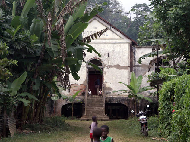 O Canto do Ossobó O Canto do Ossobó