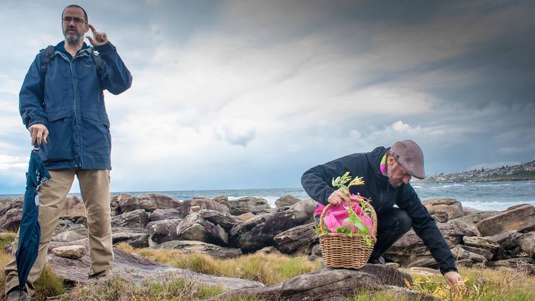 Wild Stories Sea Foraging