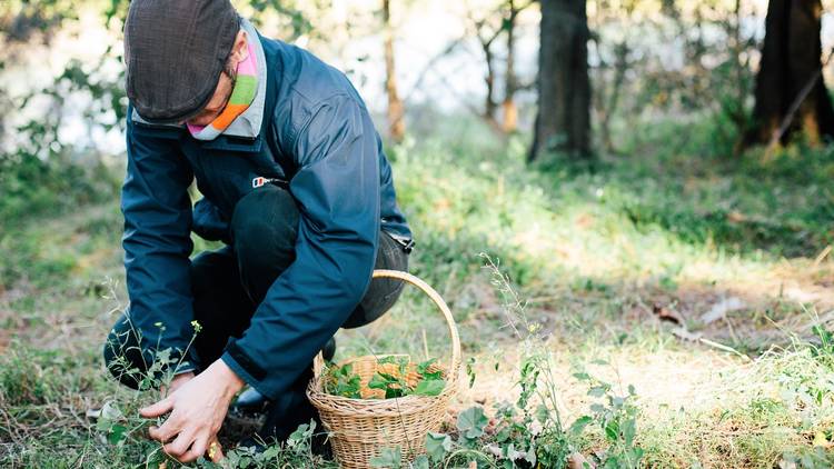 Diego Bonetto: Seaside Foraging Workshop