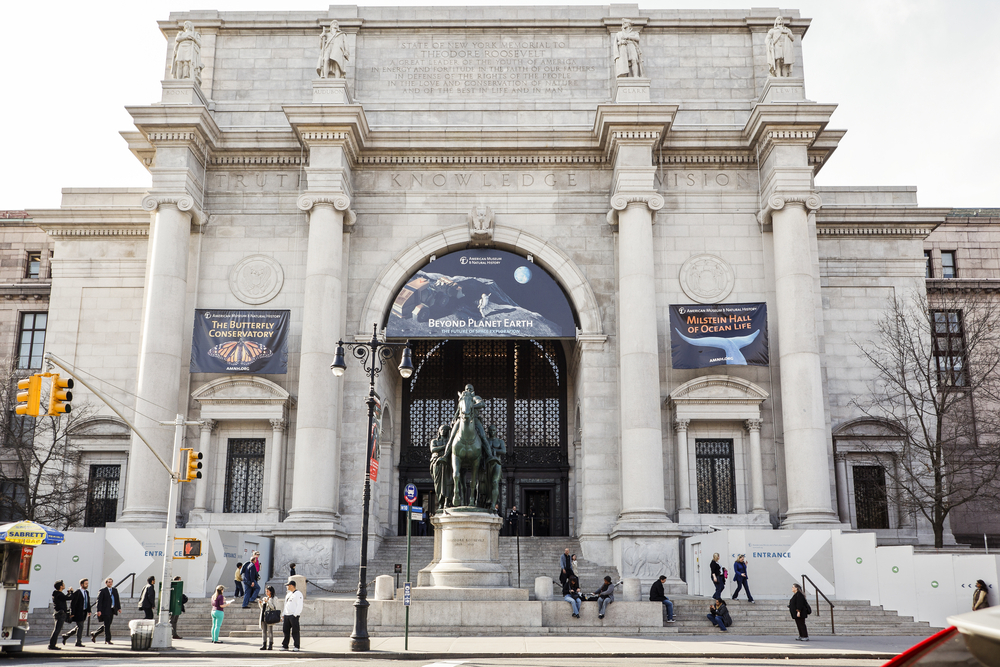 American Museum Of Natural History S Lawns Will Operate As A Park This   Image 