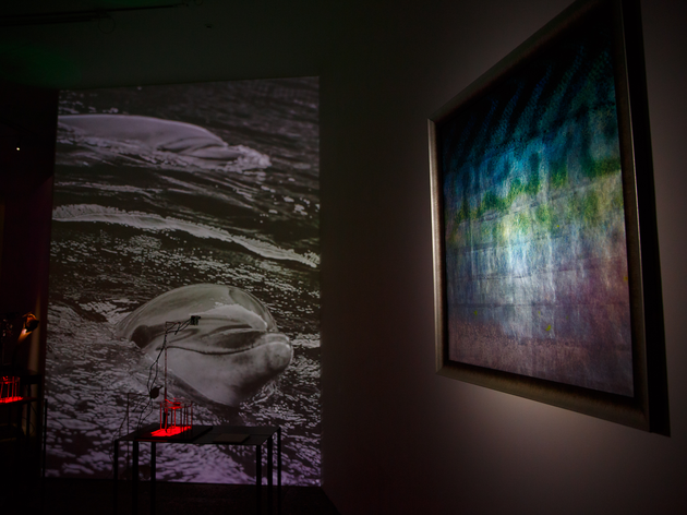 落合陽一の個展がEYE OF GYREで開催中。新作や近作など、15作品を展示 落合陽一の個展がEYE OF GYREで開催中。新作や近作など、15作品を展示