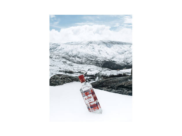 Beefeater - Diogo Oliveira Beefeater - Diogo Oliveira