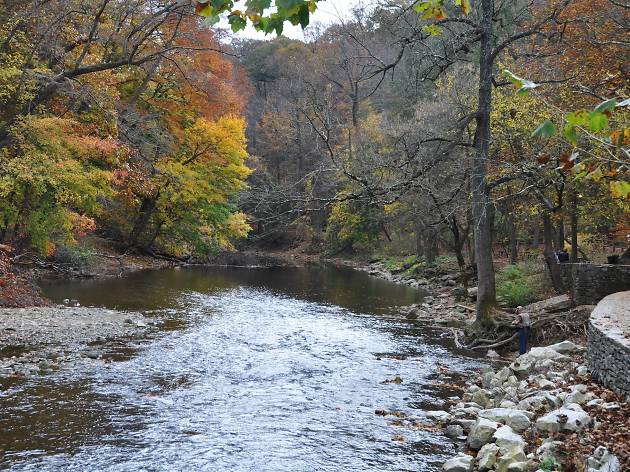 Wissahickon Valley Park of Philadelphia