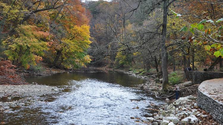 Forbidden Drive: Then to Now - Friends of Wissahickon Friends of Wissahickon