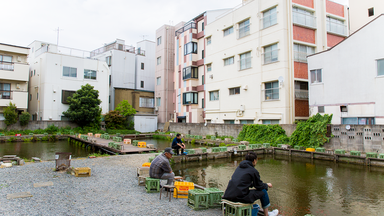 寿々木園（Photo：Keisuke Tanigawa）