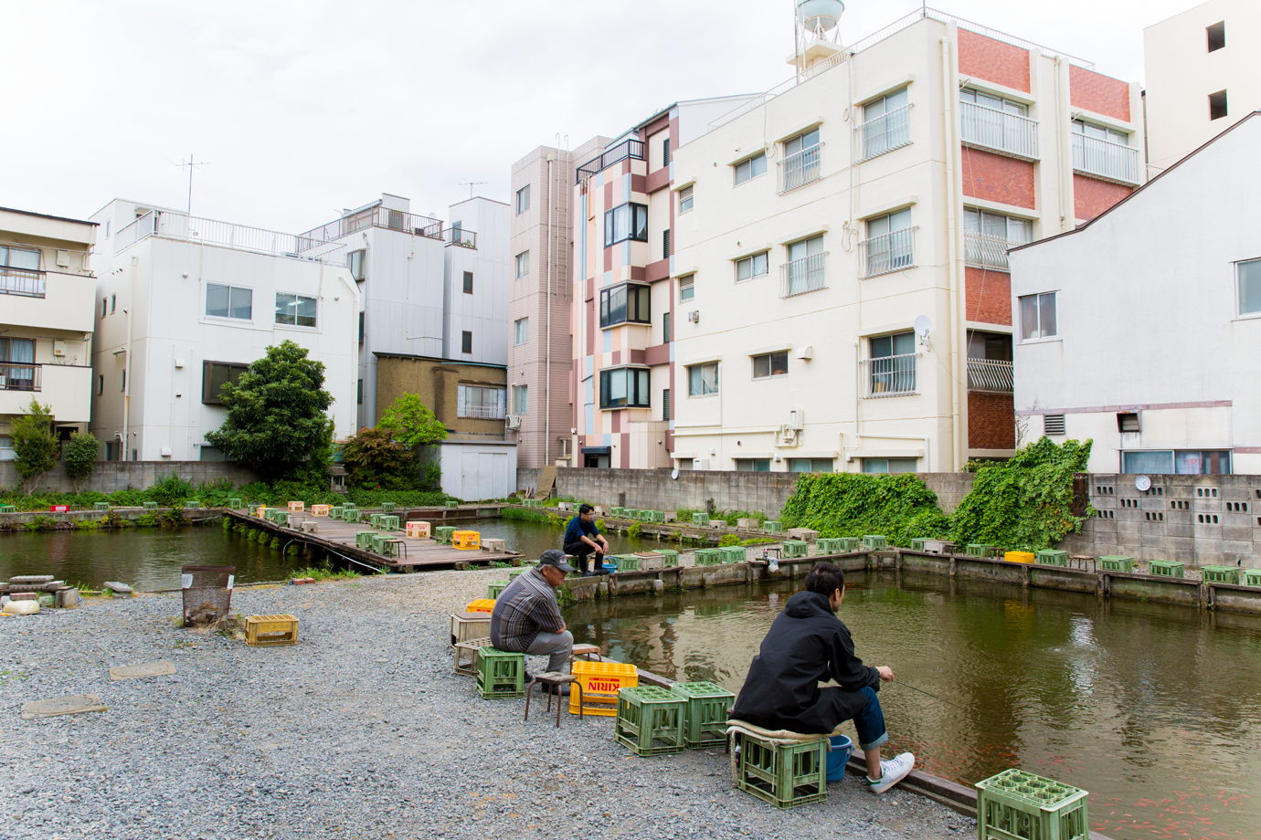 東京 釣り堀7選