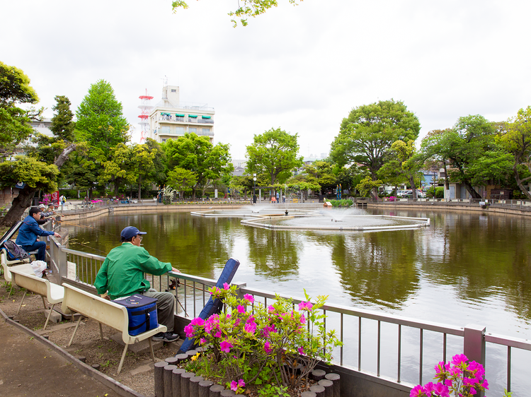 Fishing at Shimizuike Park