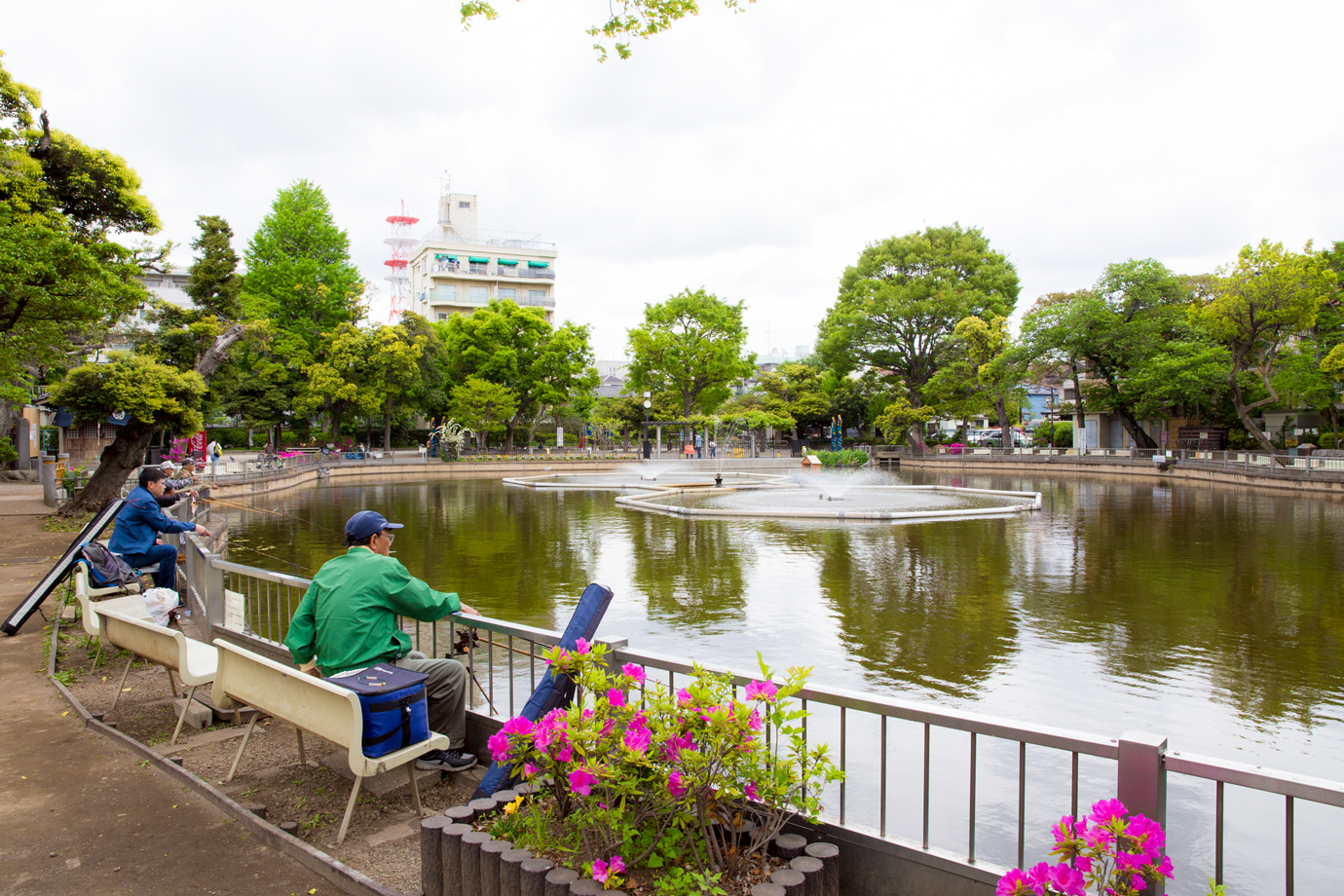 清水 池 公園