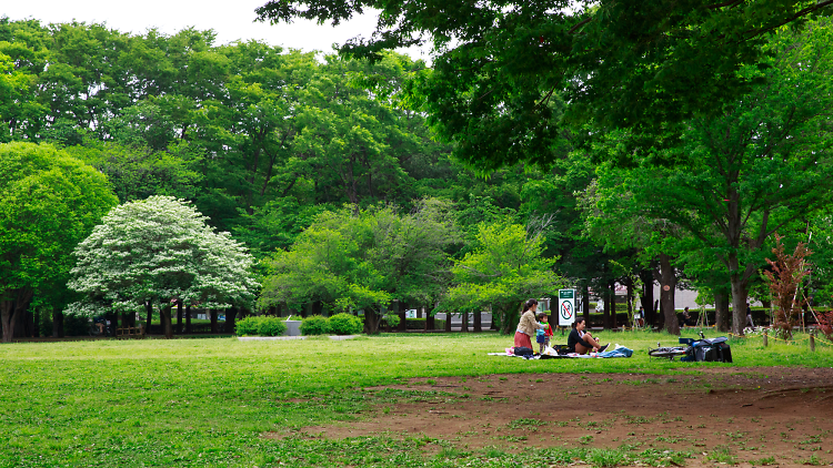 kinuta park