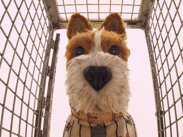 Wes Anderson, peşine taktığı koca bir köpek çetesiyle geri döndü Wes Anderson, peşine taktığı koca bir köpek çetesiyle geri döndü