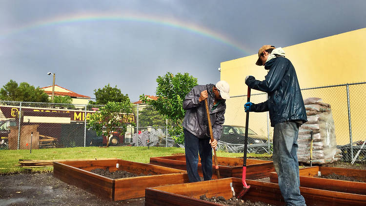 Ready-to-Grow Gardens