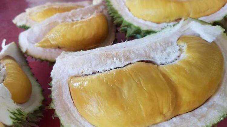 Sinnaco Durian Specialist