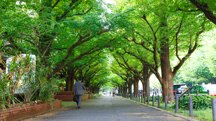 jingu gaien