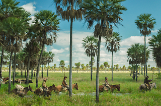 Zama, de Lucrecia Martel