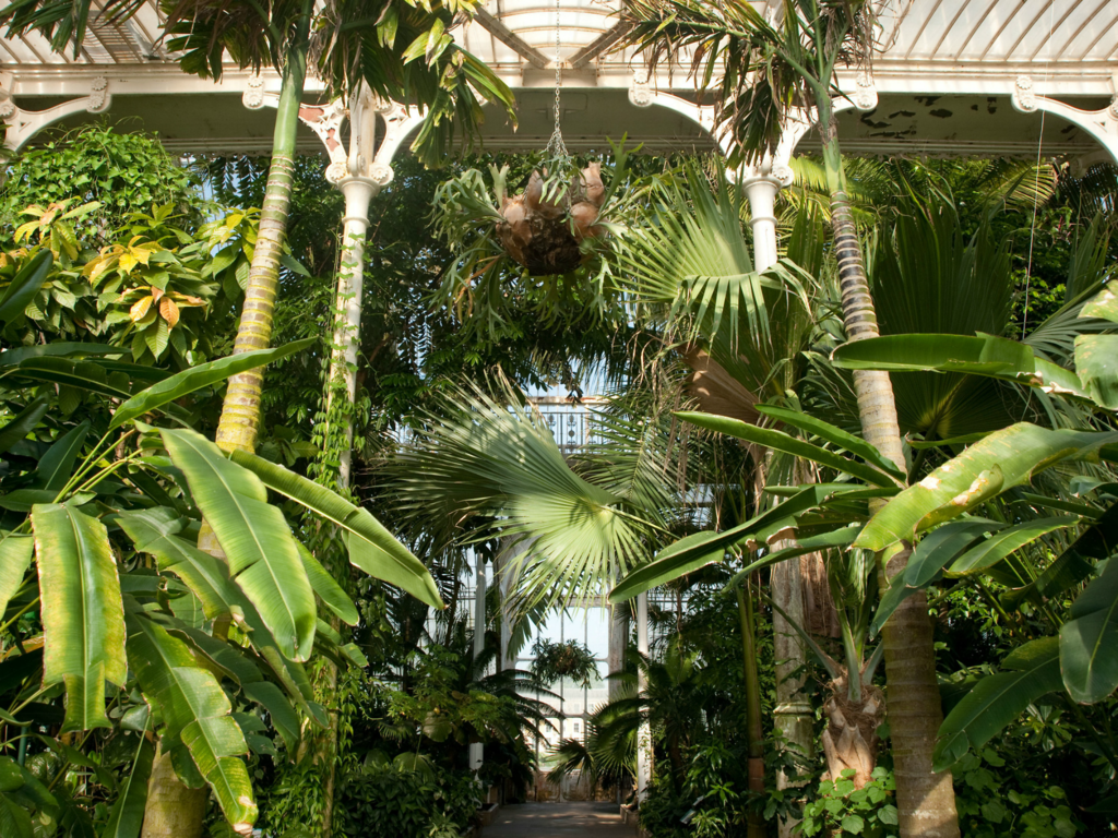 8 Great Greenhouses In London Open For Bookings
