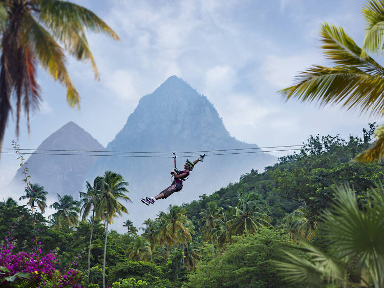 Admire the rainforest by zipline in Morne Coubaril