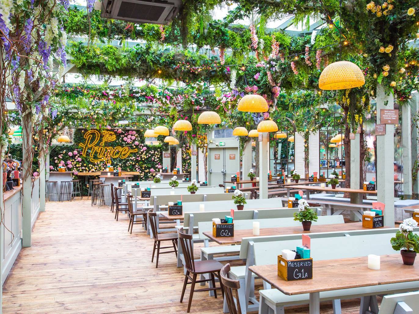 Six Bloomin’ Marvellous PlantFilled Bars