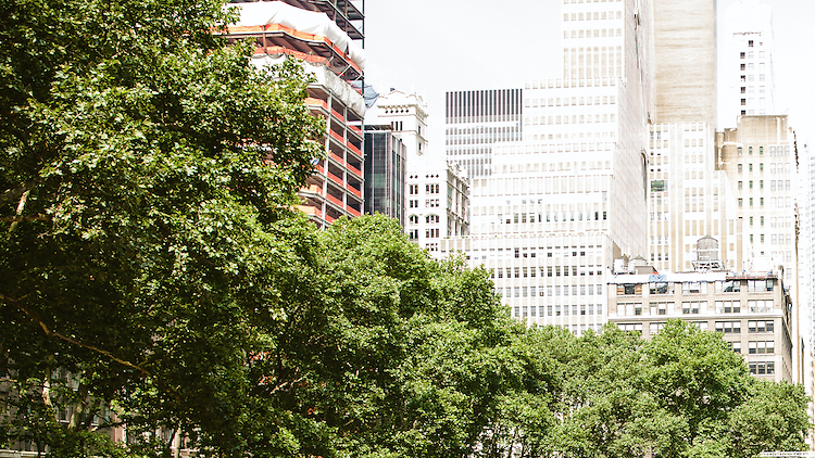 Yoga in Bryant Park 